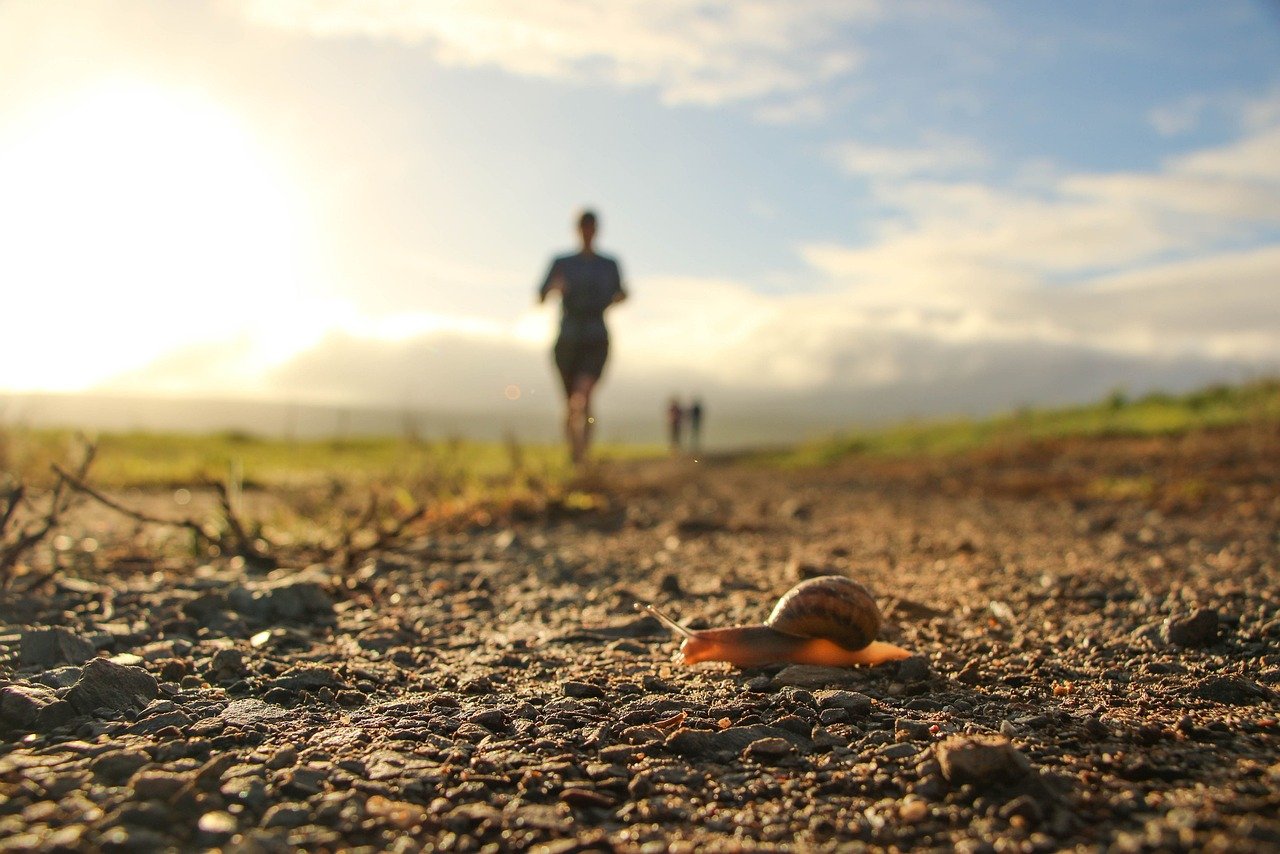 Navigating Hurdles in Trail Running